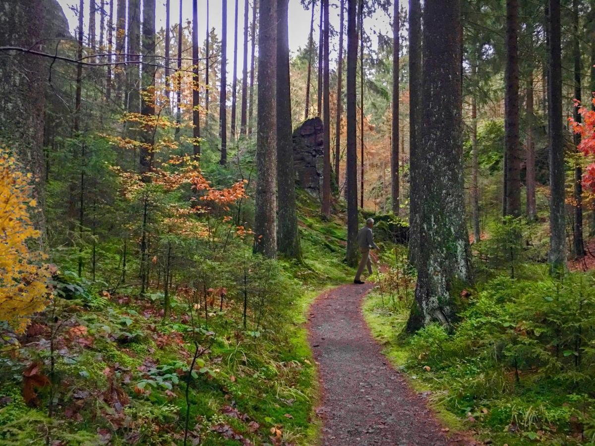 Harz Hotel Und Gaestehaus Am Bornweg Бад-Закса Екстер'єр фото
